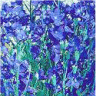 Photo de fleurs de delphinium de chine